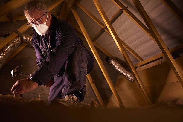 Best Commercial Insulation in Lakewood, CA